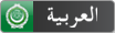 Flyer - Arabic