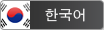 Flyer - korean