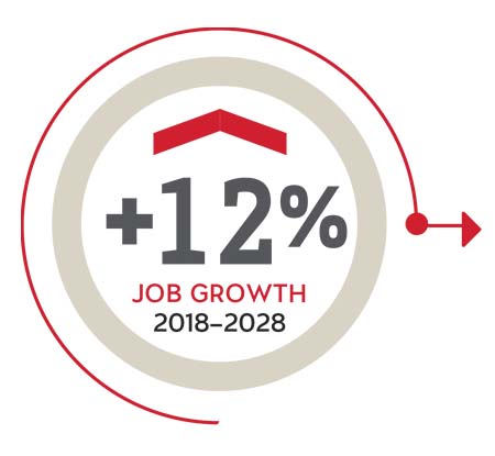 +12% job growth (2019-2024)