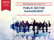 M. A. in Public Sector Management brochure cover