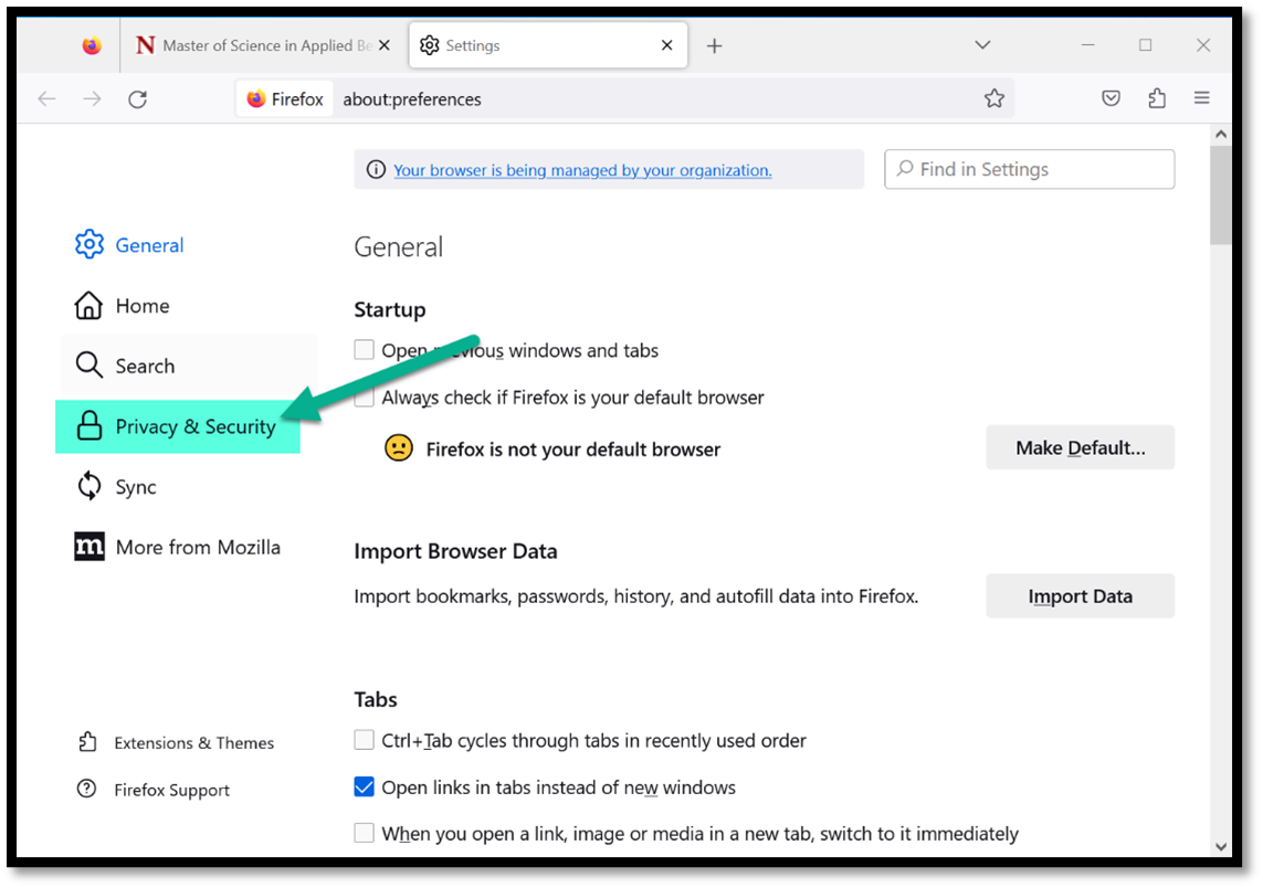 Firefox setting screen with Privacy and Security menu highlighted