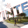 Winter Term Winter Term